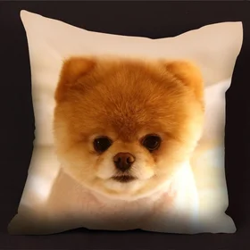 Подушки с фото: подушка - boo dog